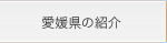 愛媛県の紹介